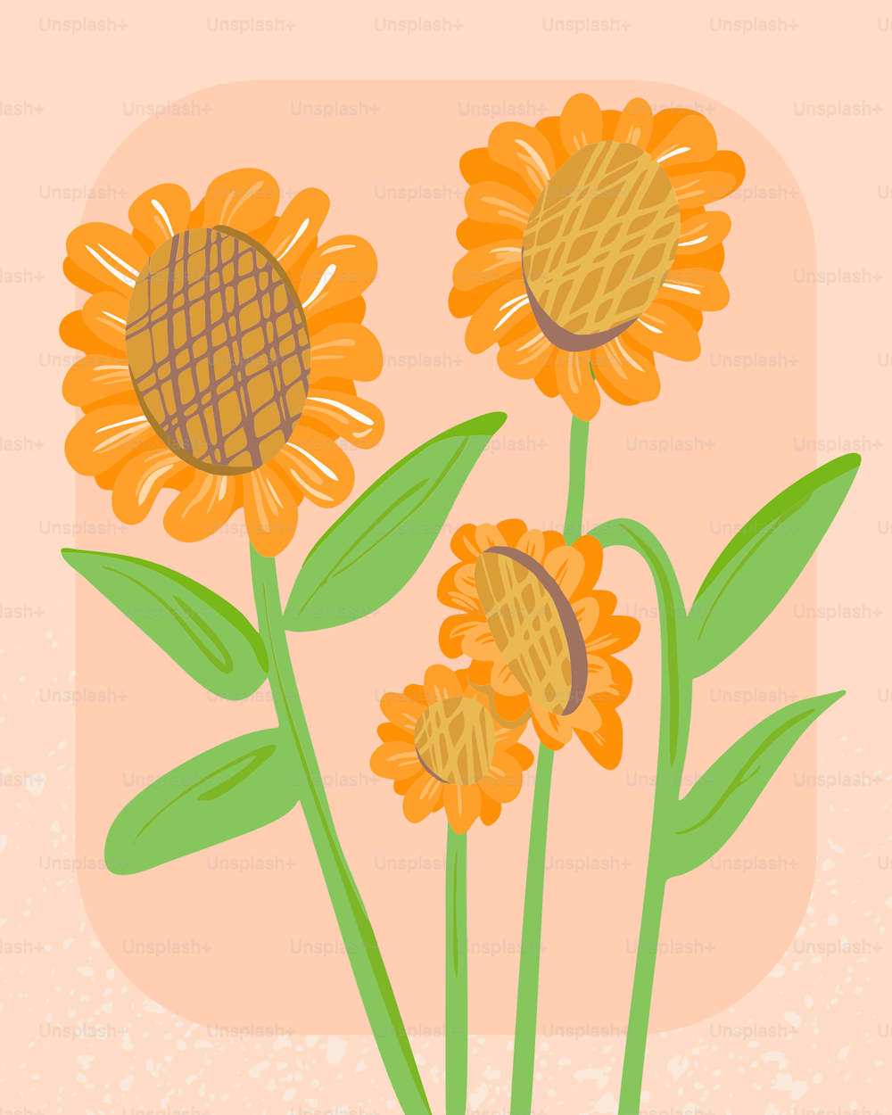 three sunflowers with green leaves on a pink background