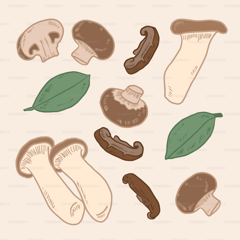 a bunch of different types of mushrooms