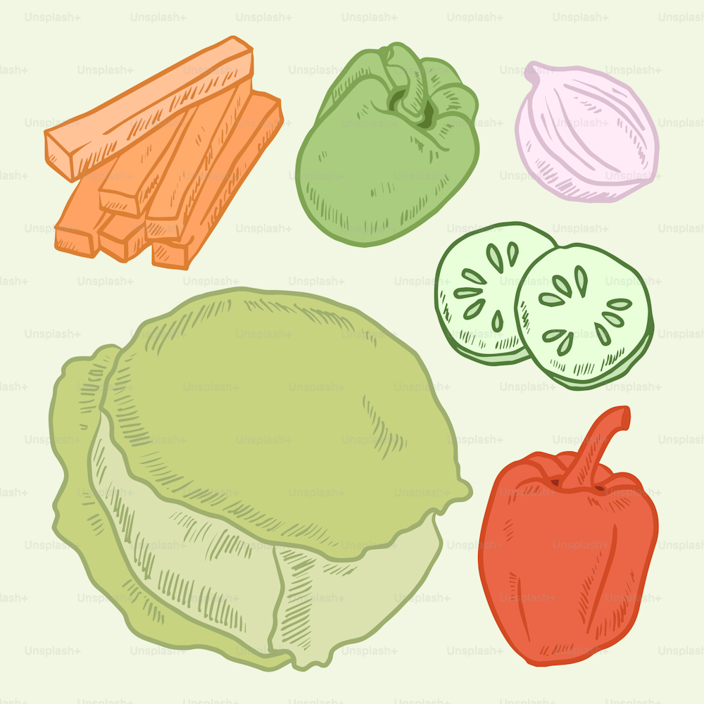 un dibujo de una variedad de vegetales sobre un fondo blanco