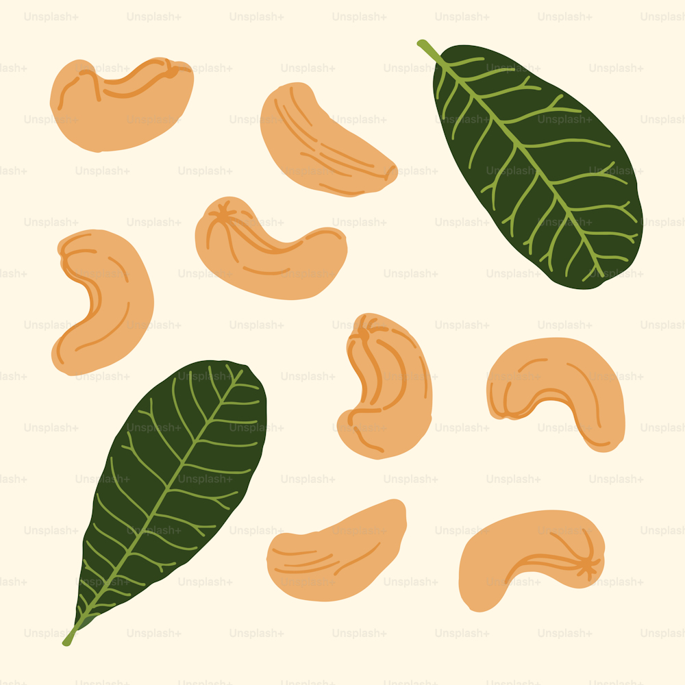 a collection of nuts and leaves on a white background