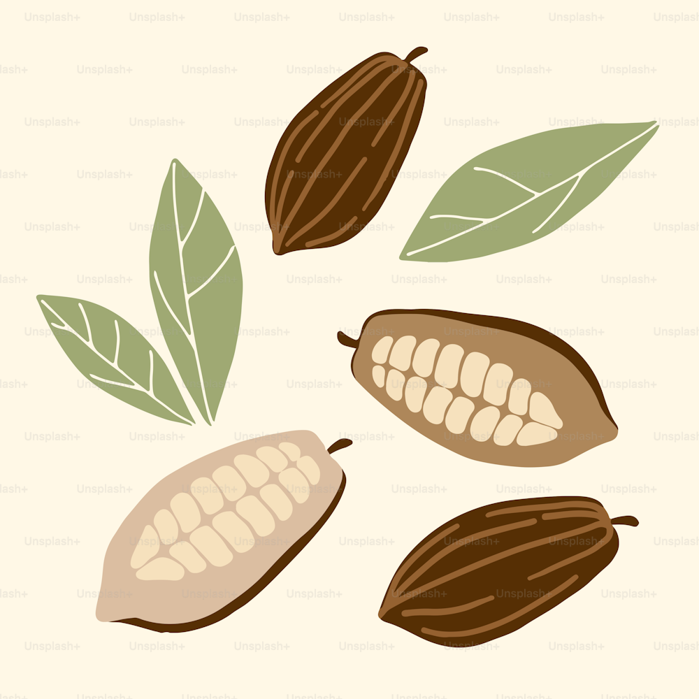 a group of nuts with leaves on a white background