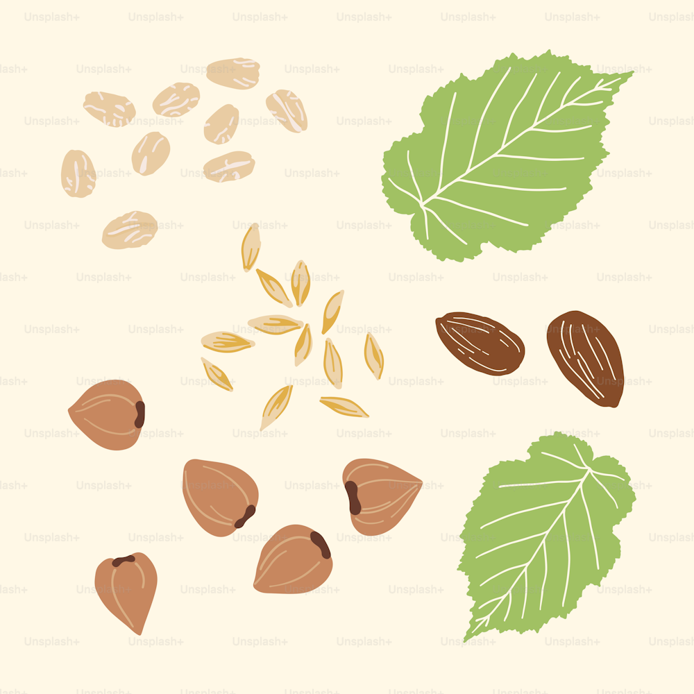 a bunch of nuts and leaves on a white background