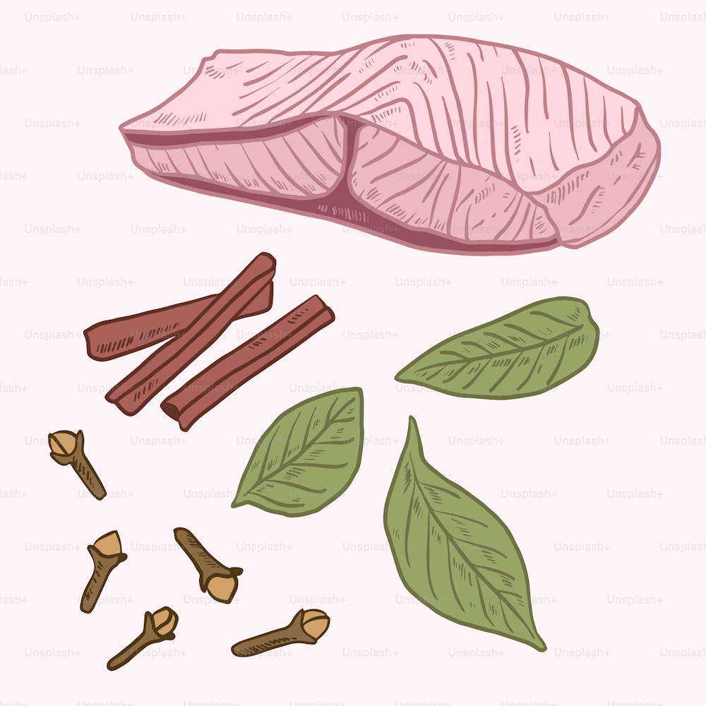 a drawing of a piece of meat and spices