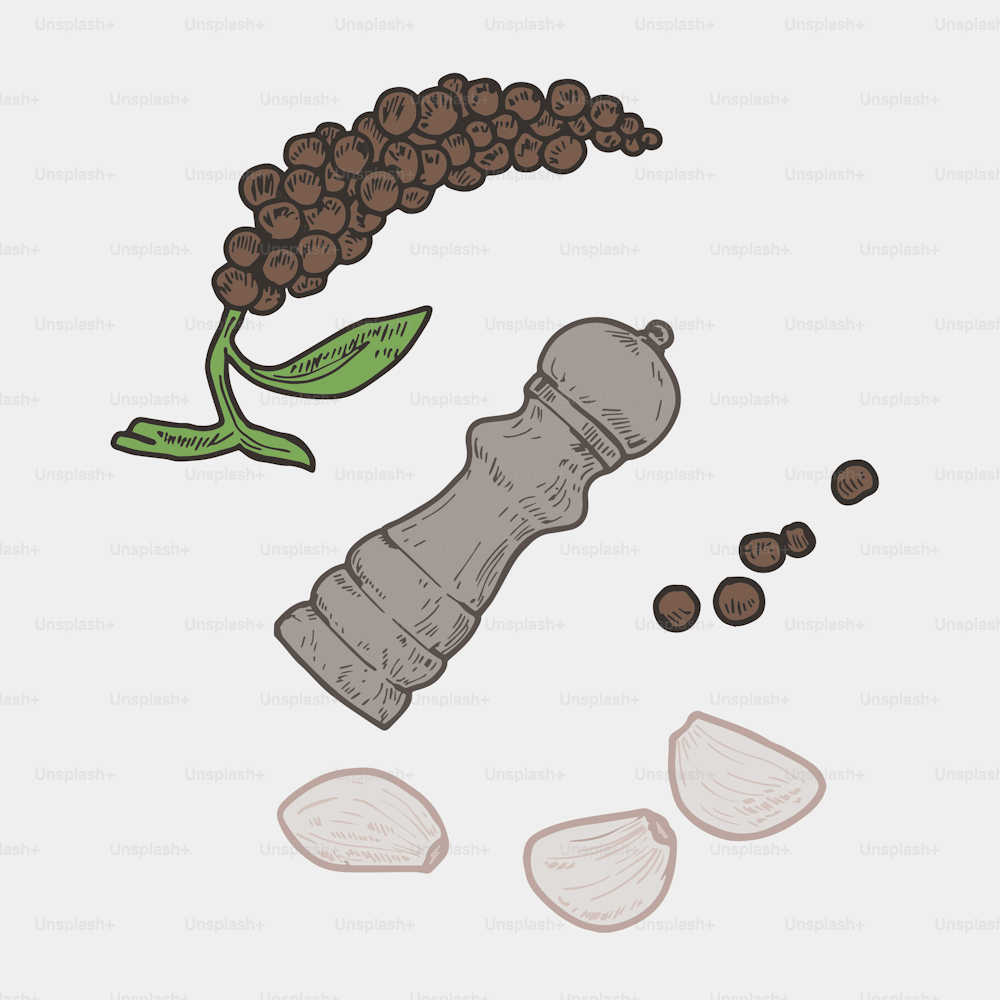 a drawing of a pepper grinder and beans