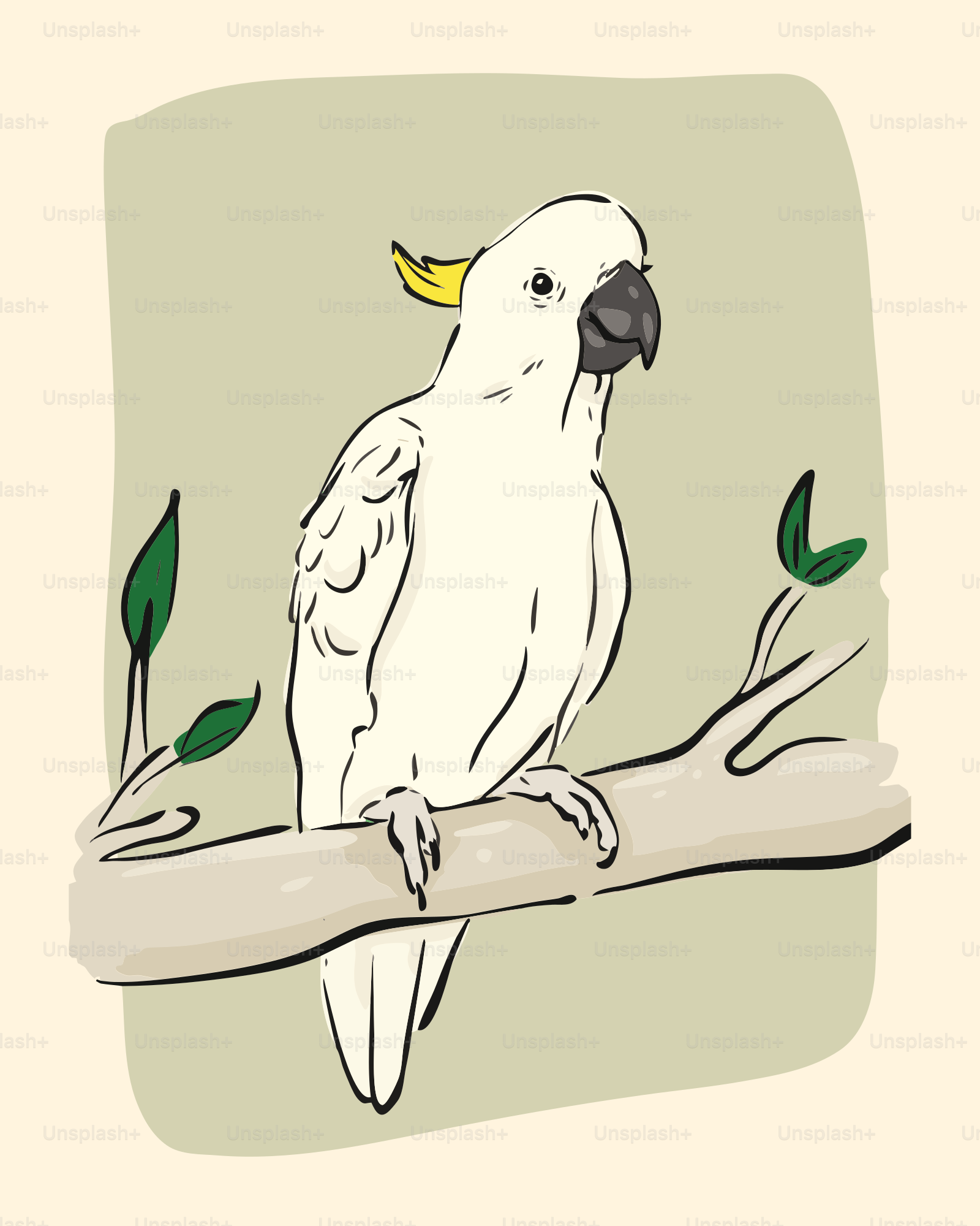 a white bird sitting on top of a tree branch