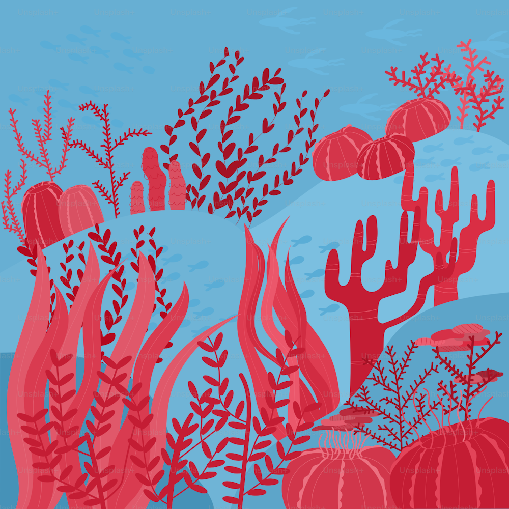 una pintura de corales y algas marinas sobre un fondo azul