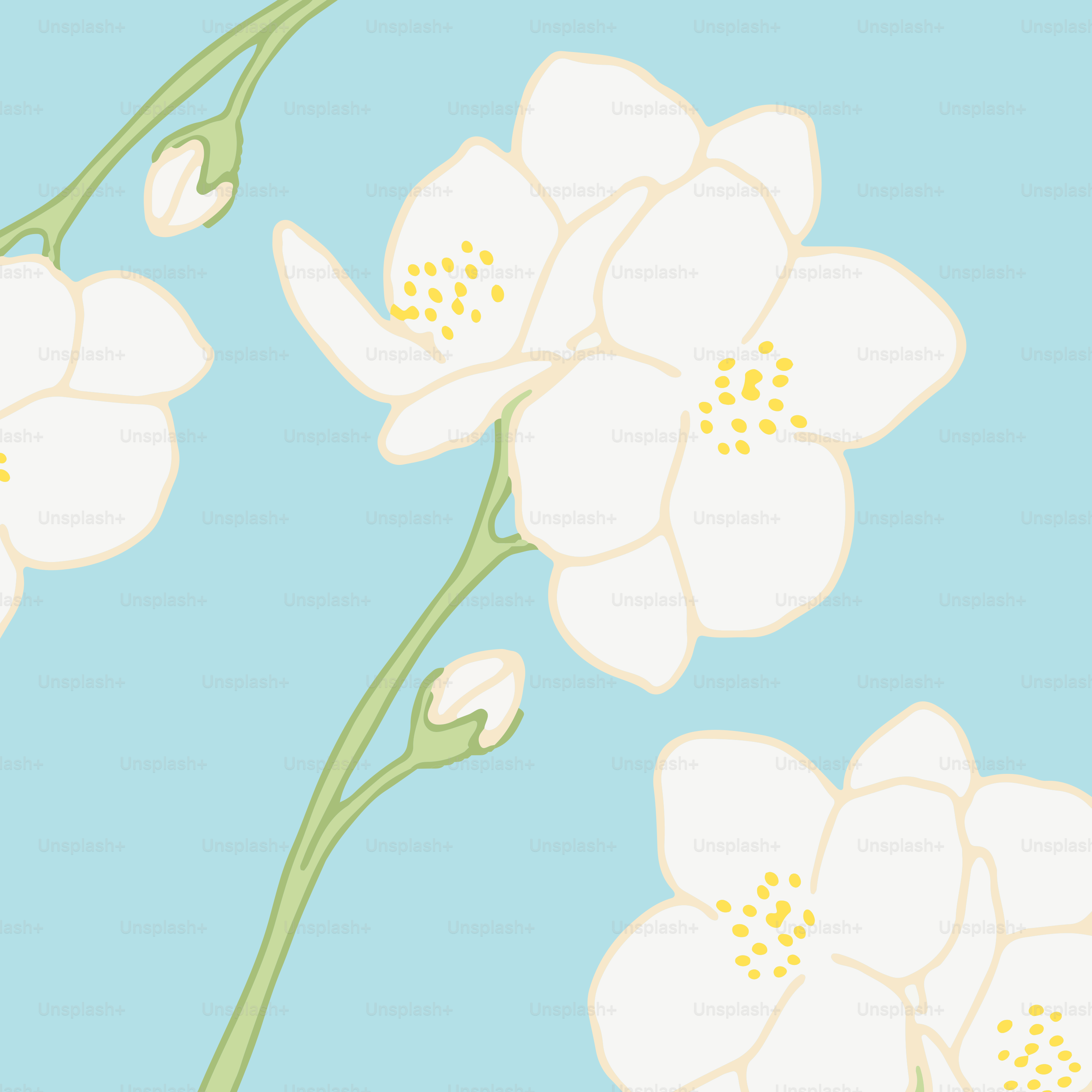 Ein Bild einer Blume auf blauem Hintergrund