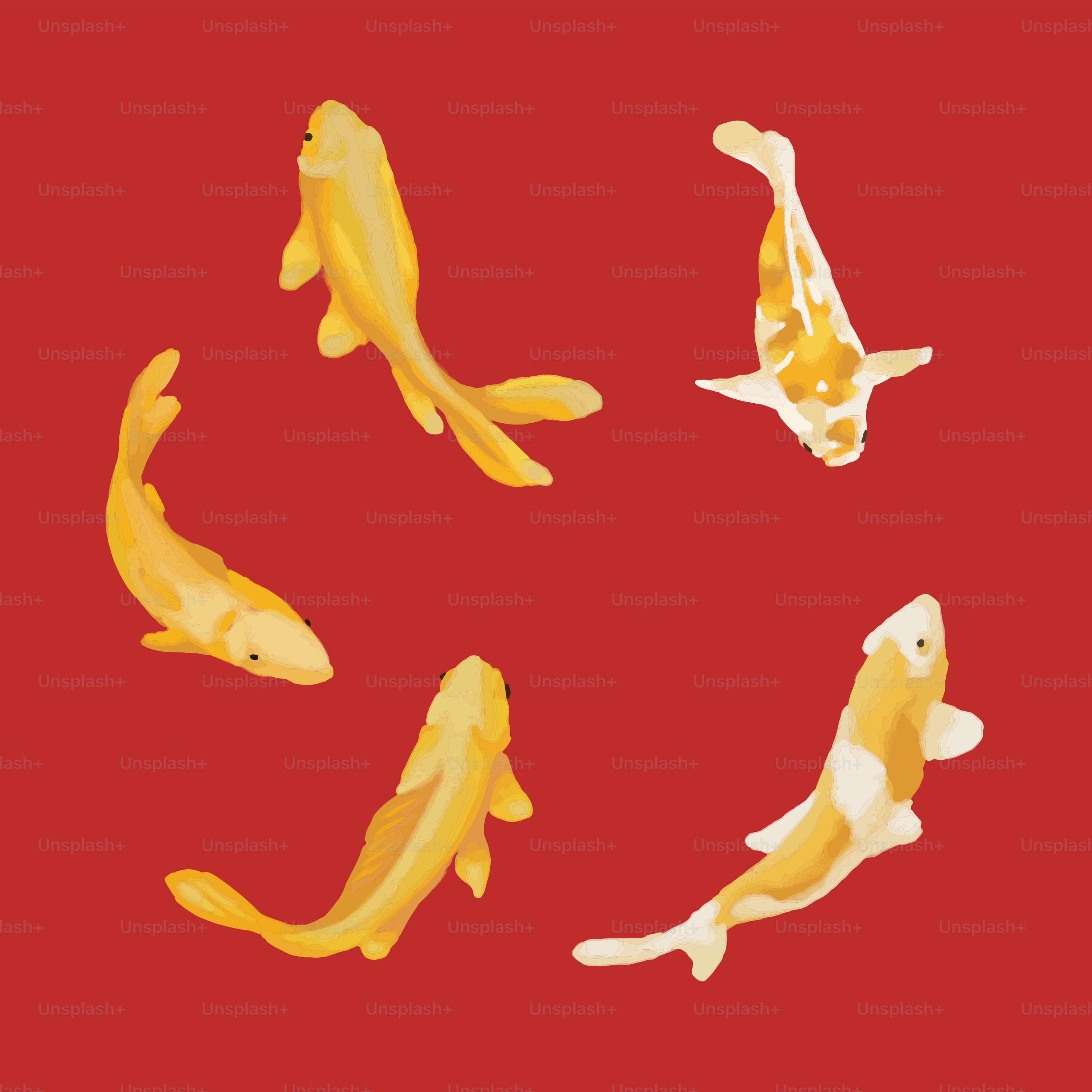 eine Gruppe von Goldfischen, die auf einer roten Oberfläche schwimmen