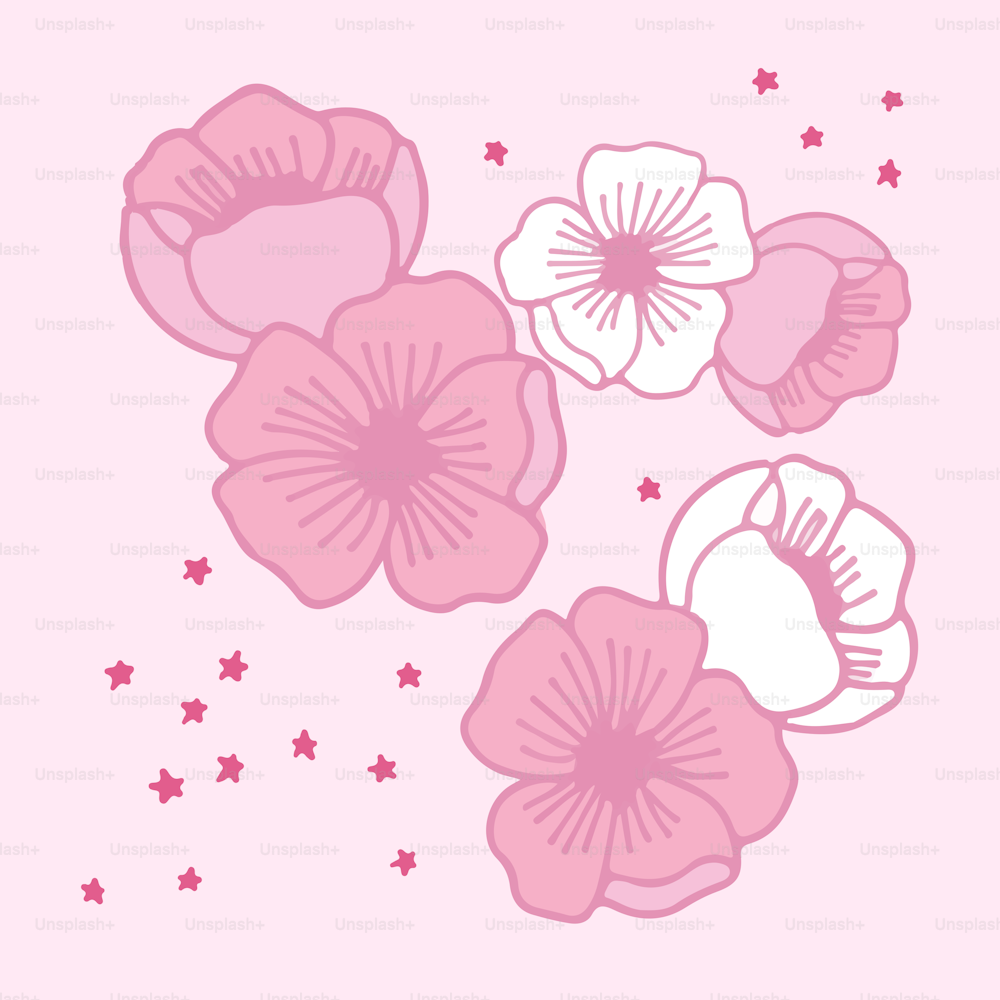 pink and white flowers on a pink background