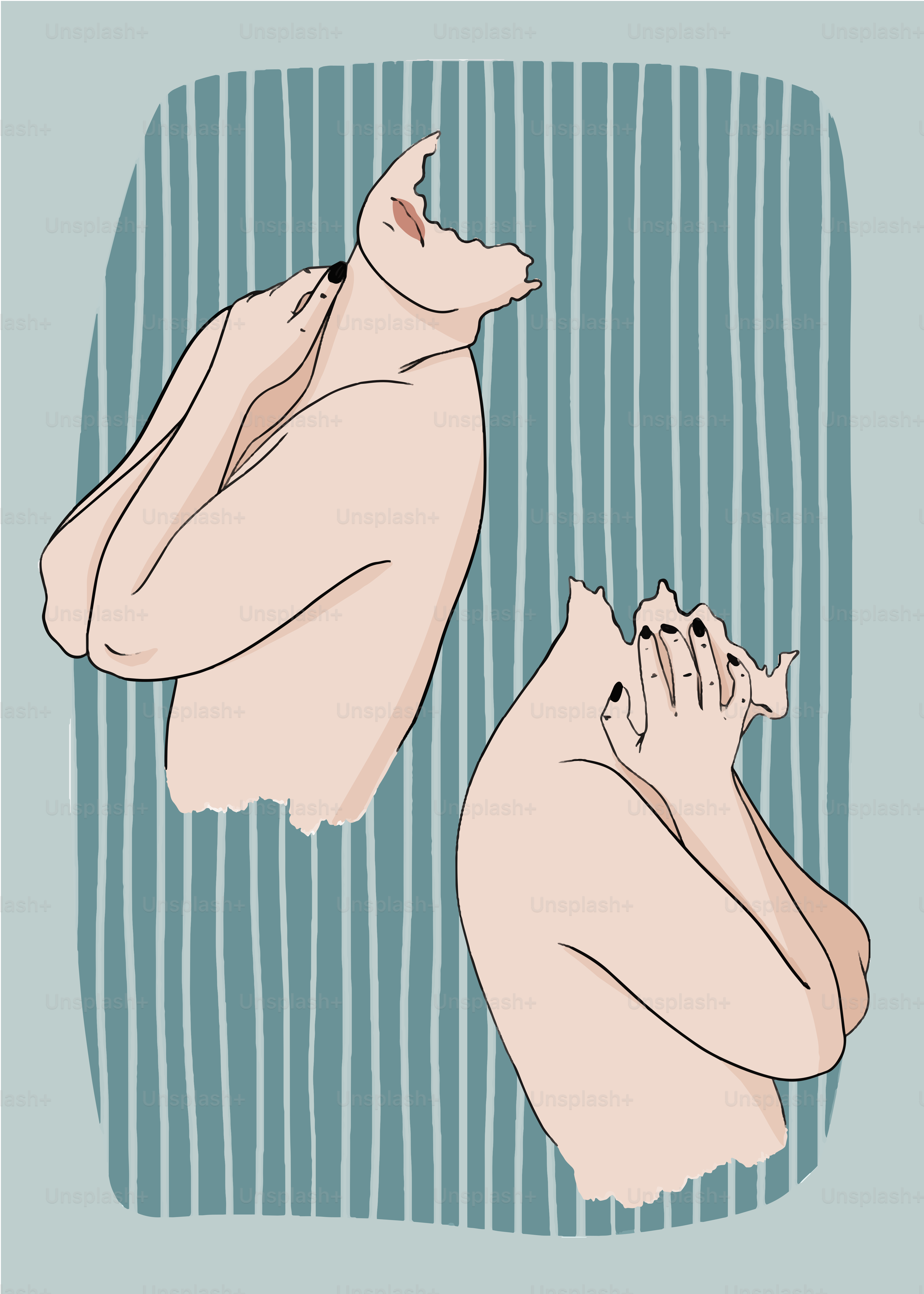 a couple of cats laying next to each other