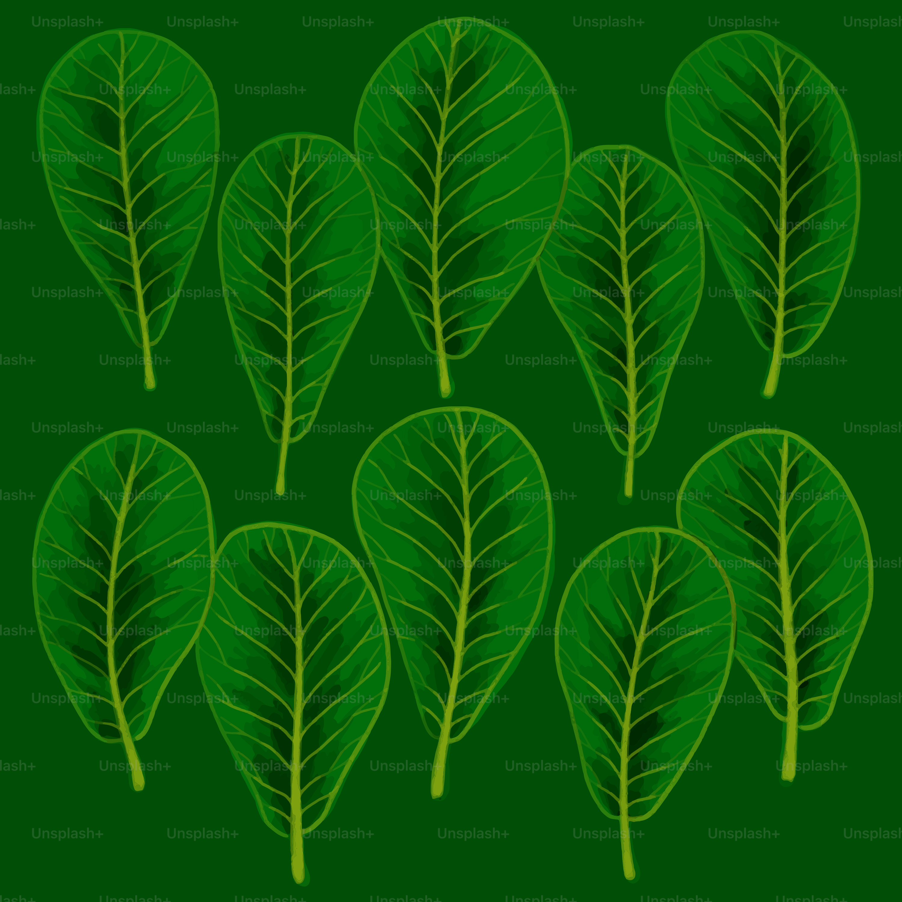 a bunch of green leaves on a green background
