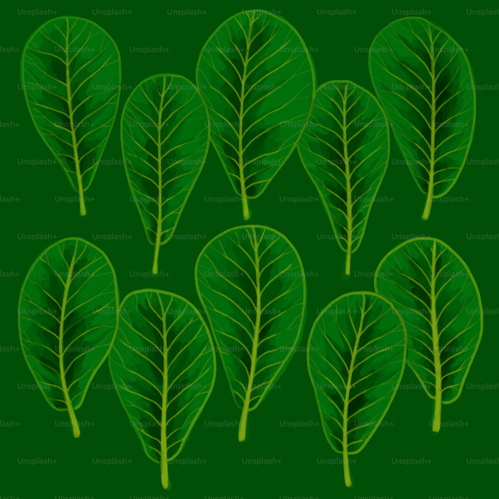 un manojo de hojas verdes sobre un fondo verde