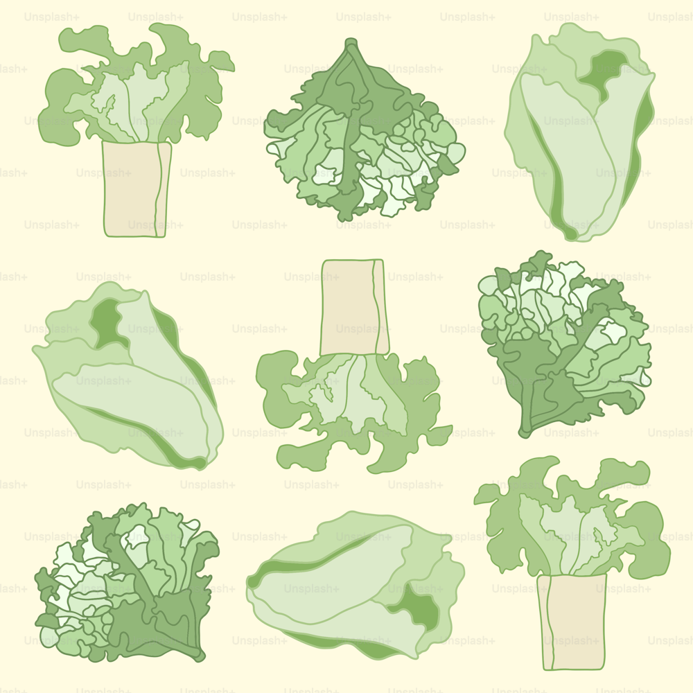 a bunch of lettuce that are on a table