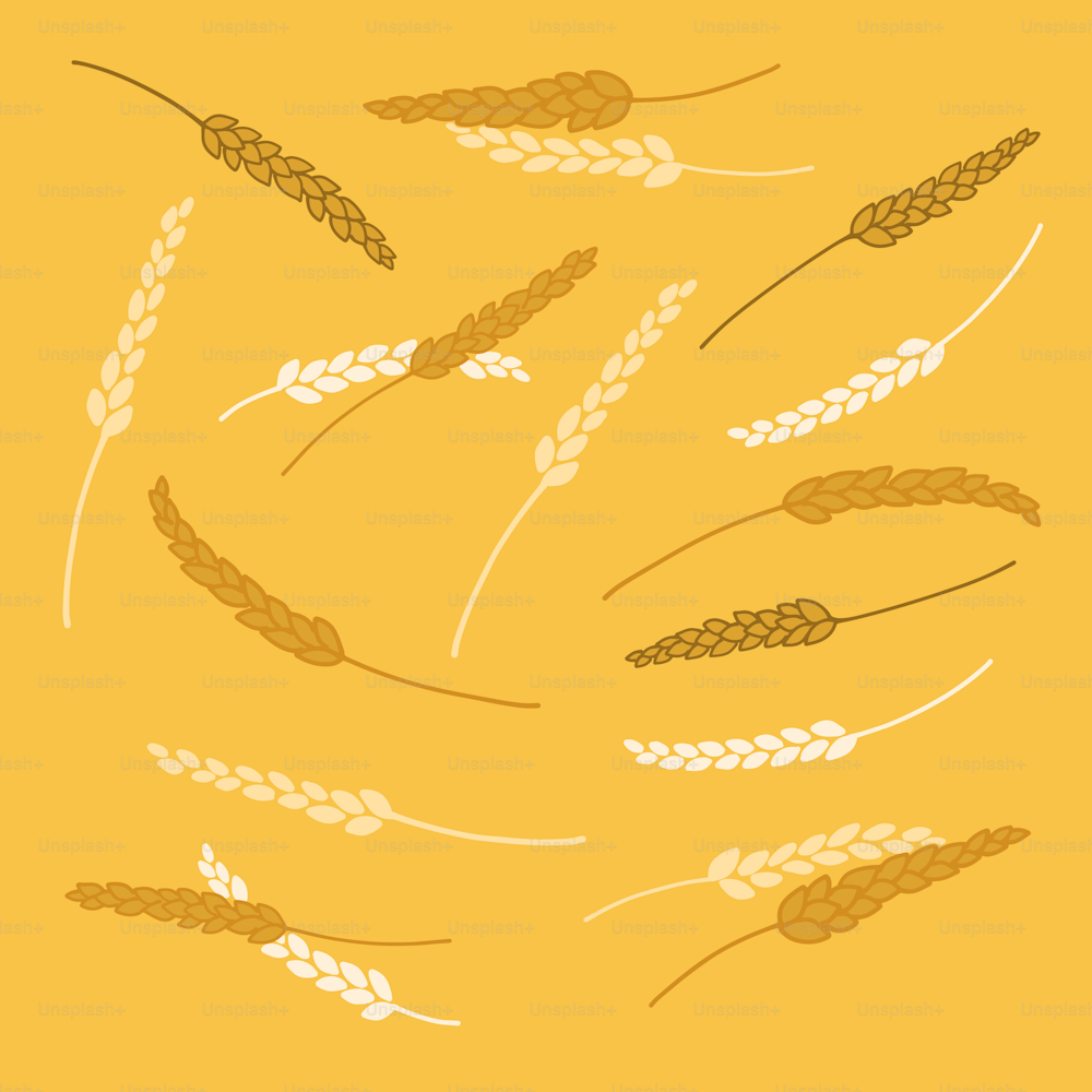 a bunch of wheat on a yellow background