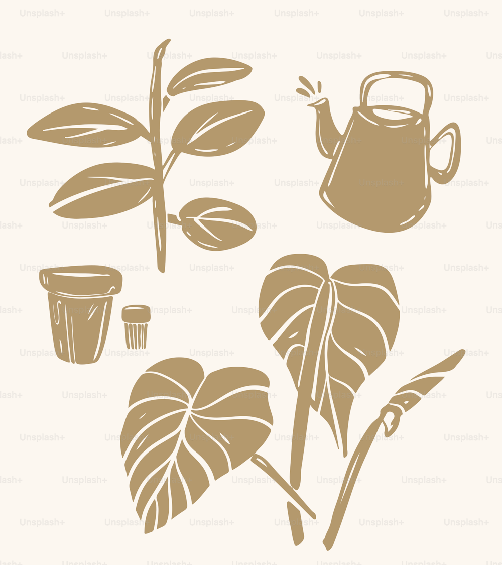 a drawing of a plant with leaves and a watering can