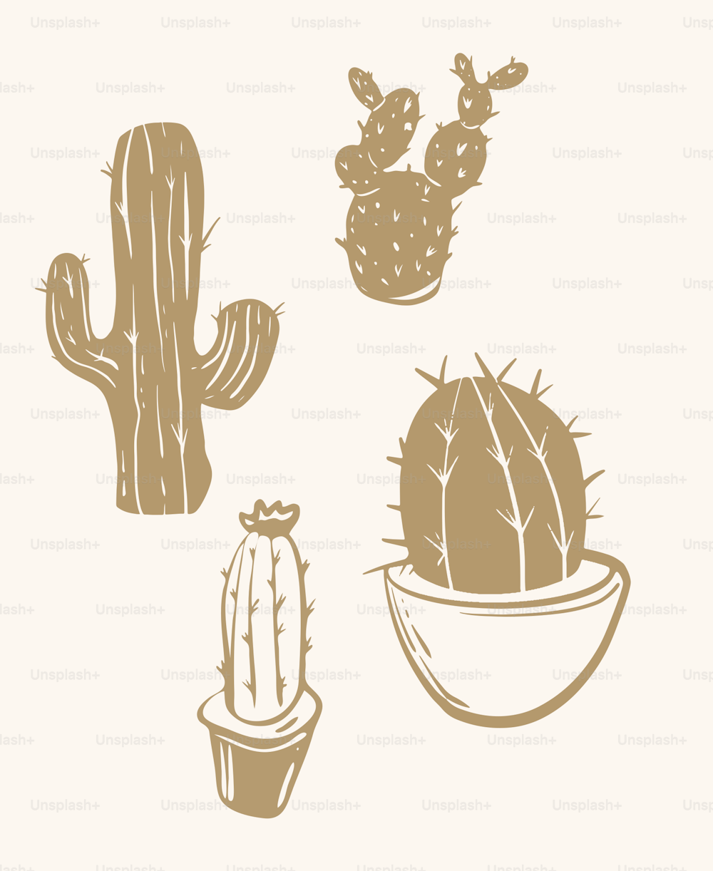 a drawing of a cactus in a bowl