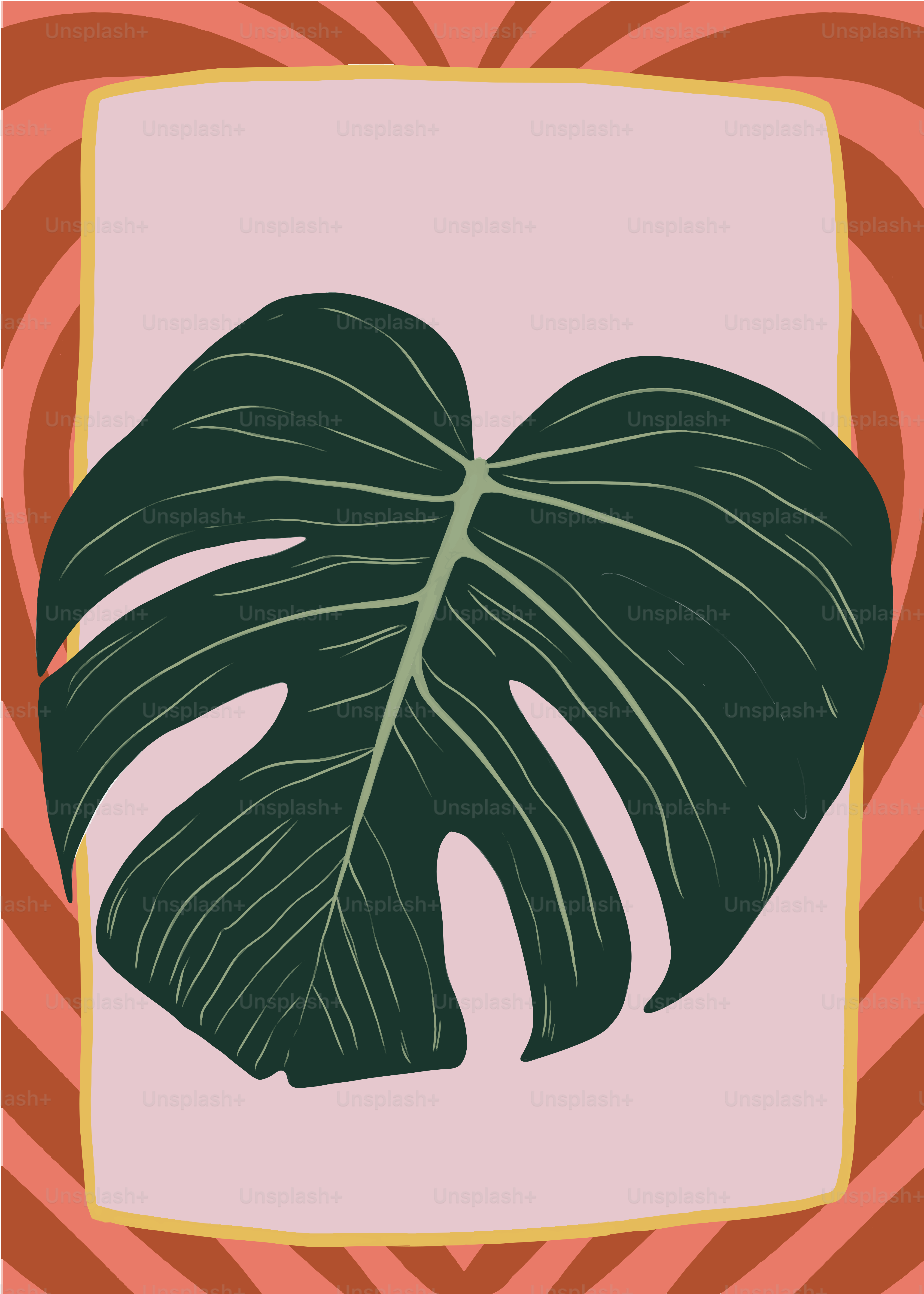 A large green monstera leaf on a pink background