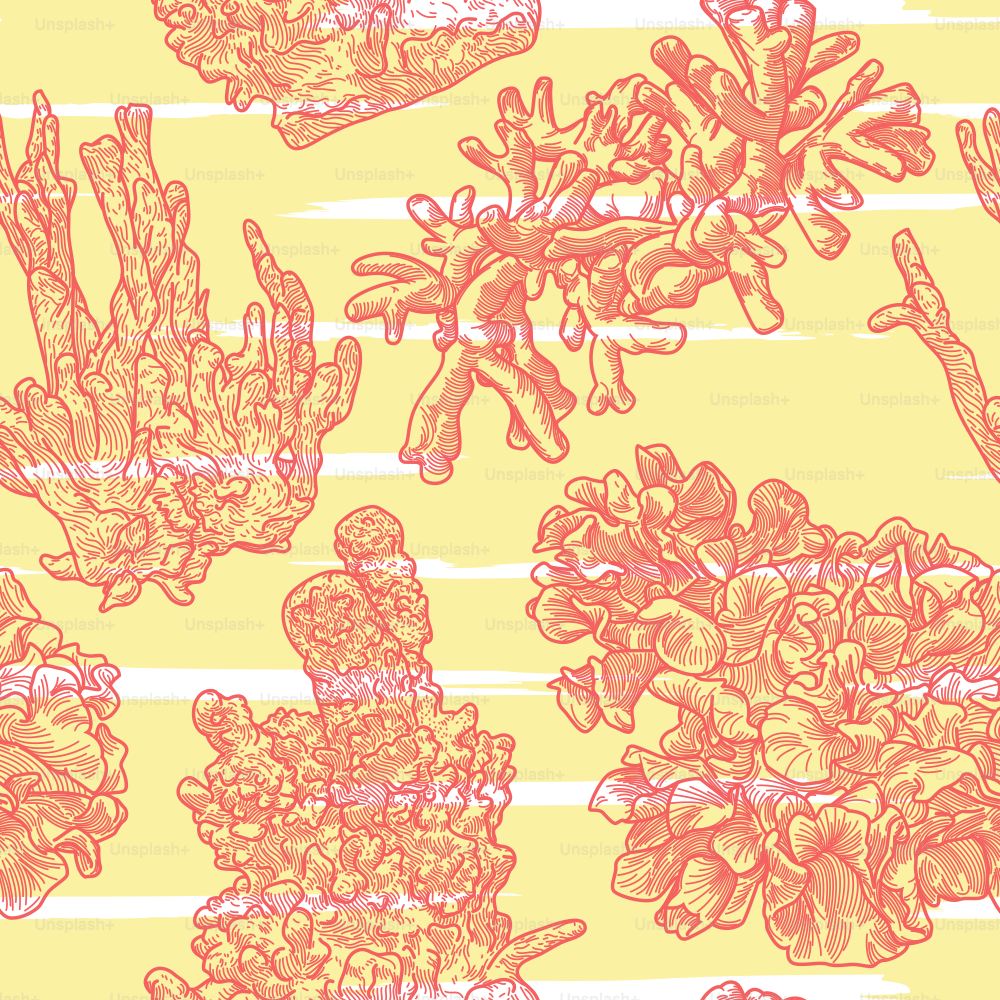빈티지 스타일의 라인 아트웍, 바다 산호의 원활한 패턴.