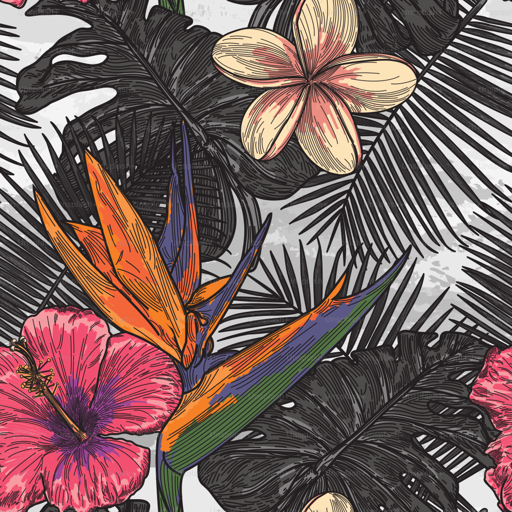 Un patrón floral tropical fresco y sin costuras establecido principalmente en un blanco y negro tenue.