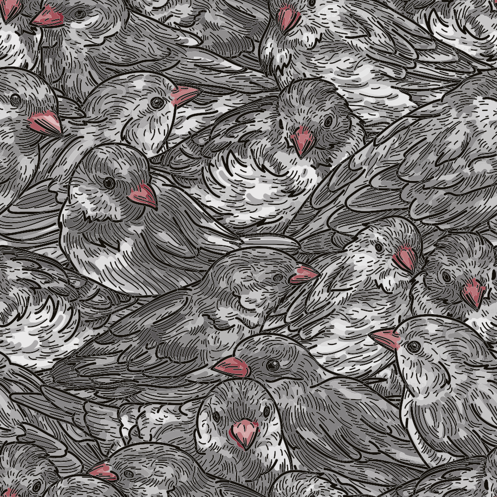 Fluffy feathered friends abound in this tightly packed line art bird pattern.