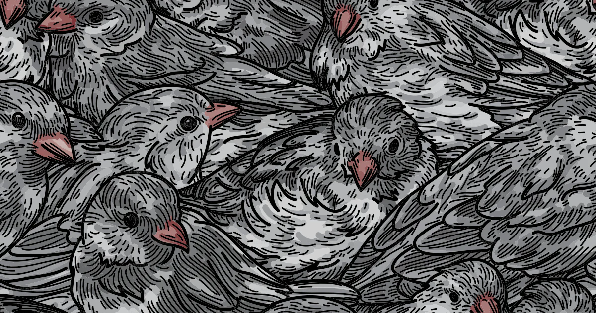 Fluffy feathered friends abound in this tightly packed line art bird ...