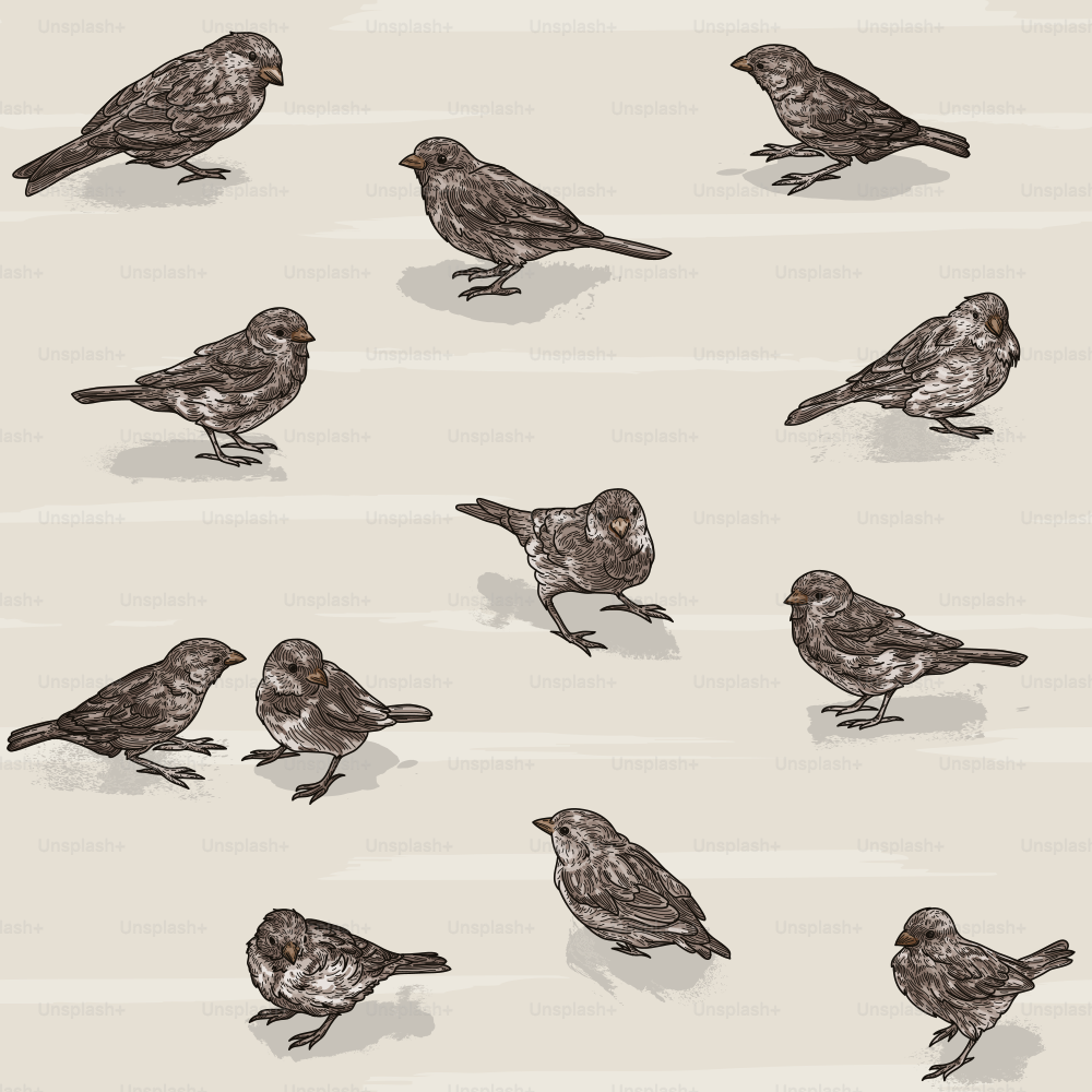 A scattered seamless pattern of adorable sparrows against a simple backdrop.