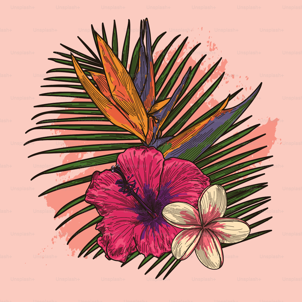 Una composición con una colección de plantas y flores tropicales.