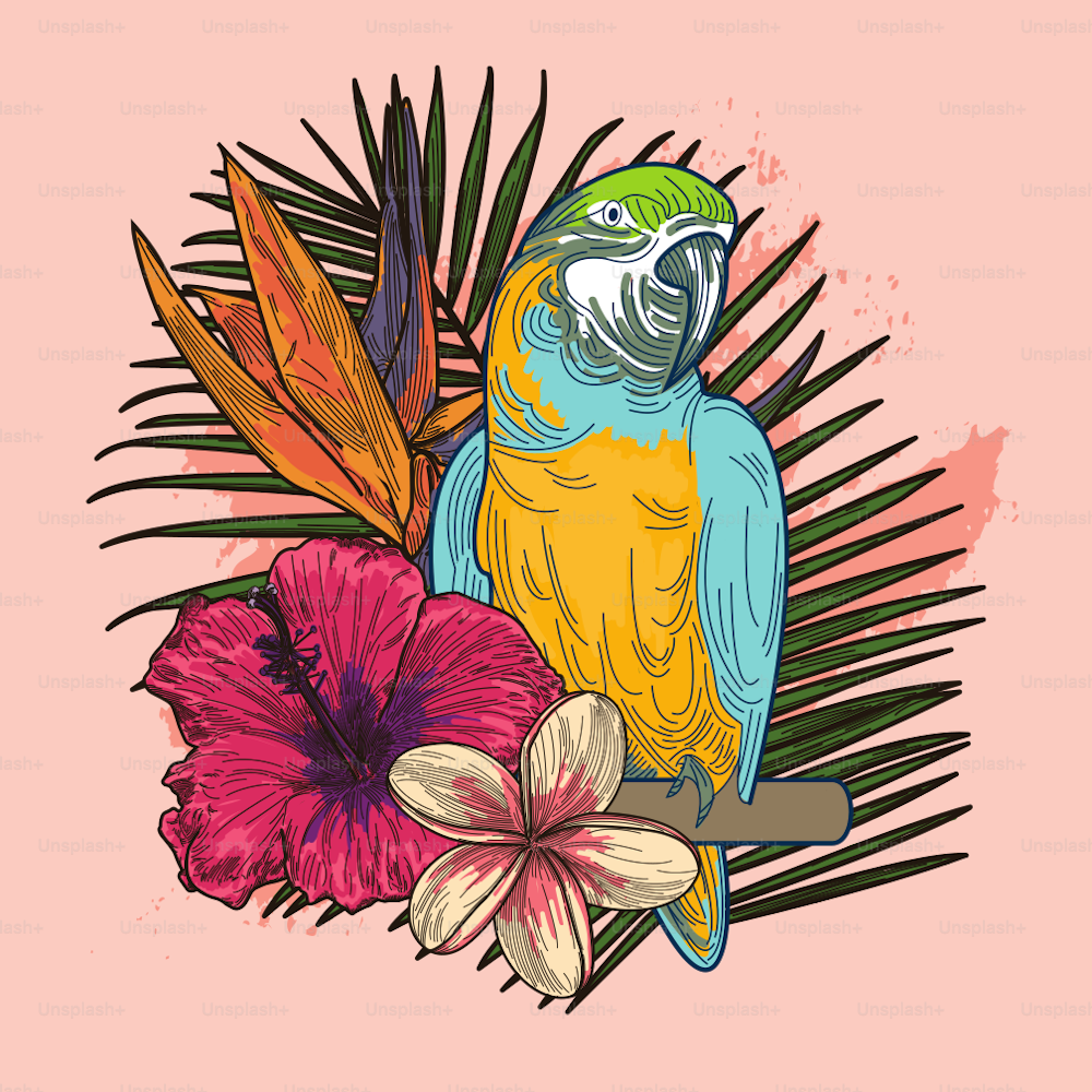 A composition featuring a collection of parrots, tropical plants and flowers.
