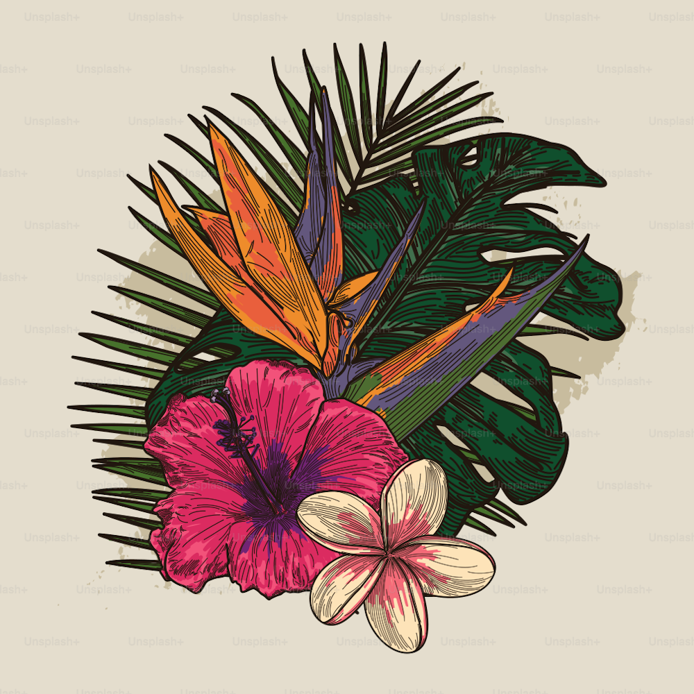 A composition featuring a collection of tropical plants and flowers.