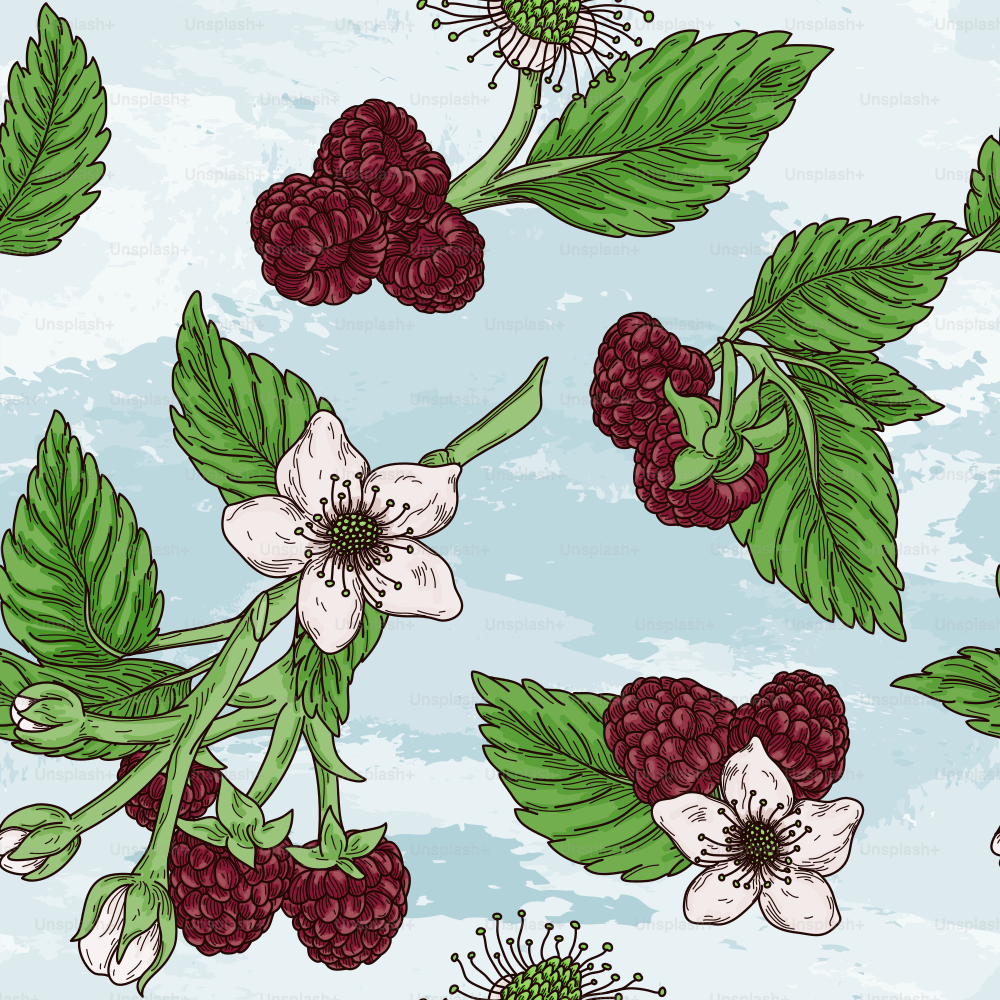 Gorgeous highly detailed line art vintage style seamless raspberry pattern with old-fashioned leaves and blossoms. Perfect for fabric, wallpaper or anything that needs a summery flair.