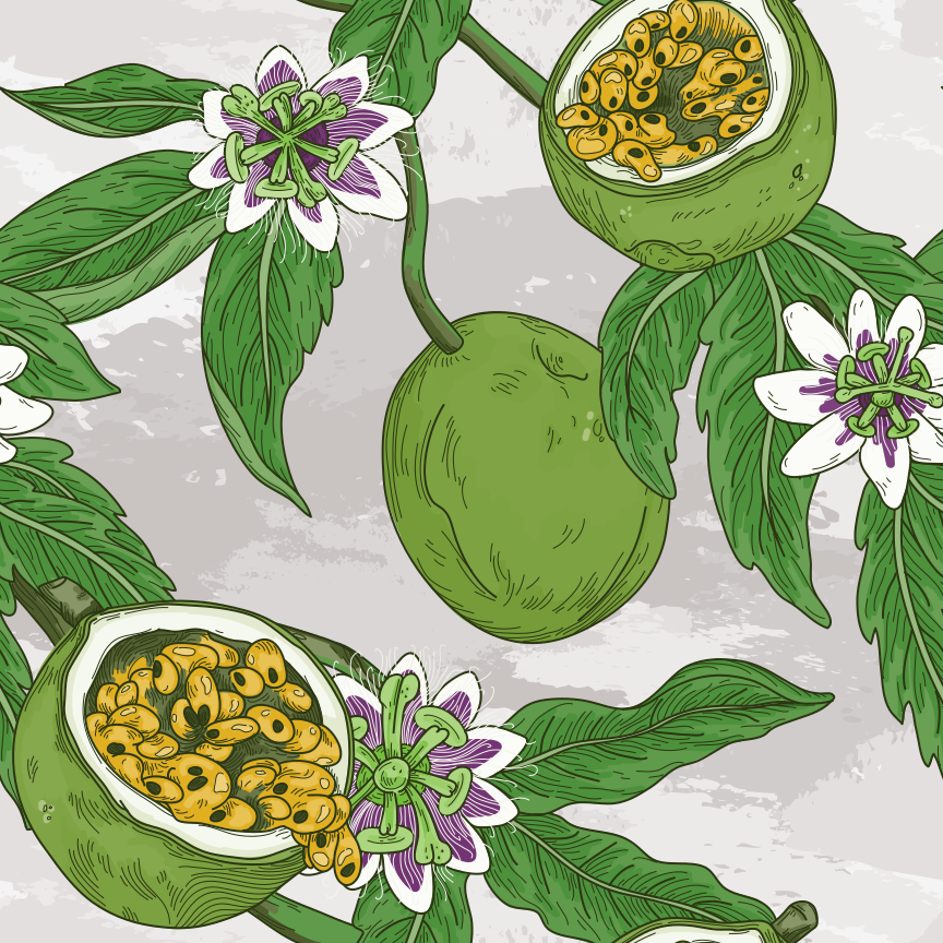 Gorgeous highly detailed line art vintage style seamless passion fruit pattern with leaves and blossoms. Perfect for fabric, wallpaper or anything that needs a summery flair.
