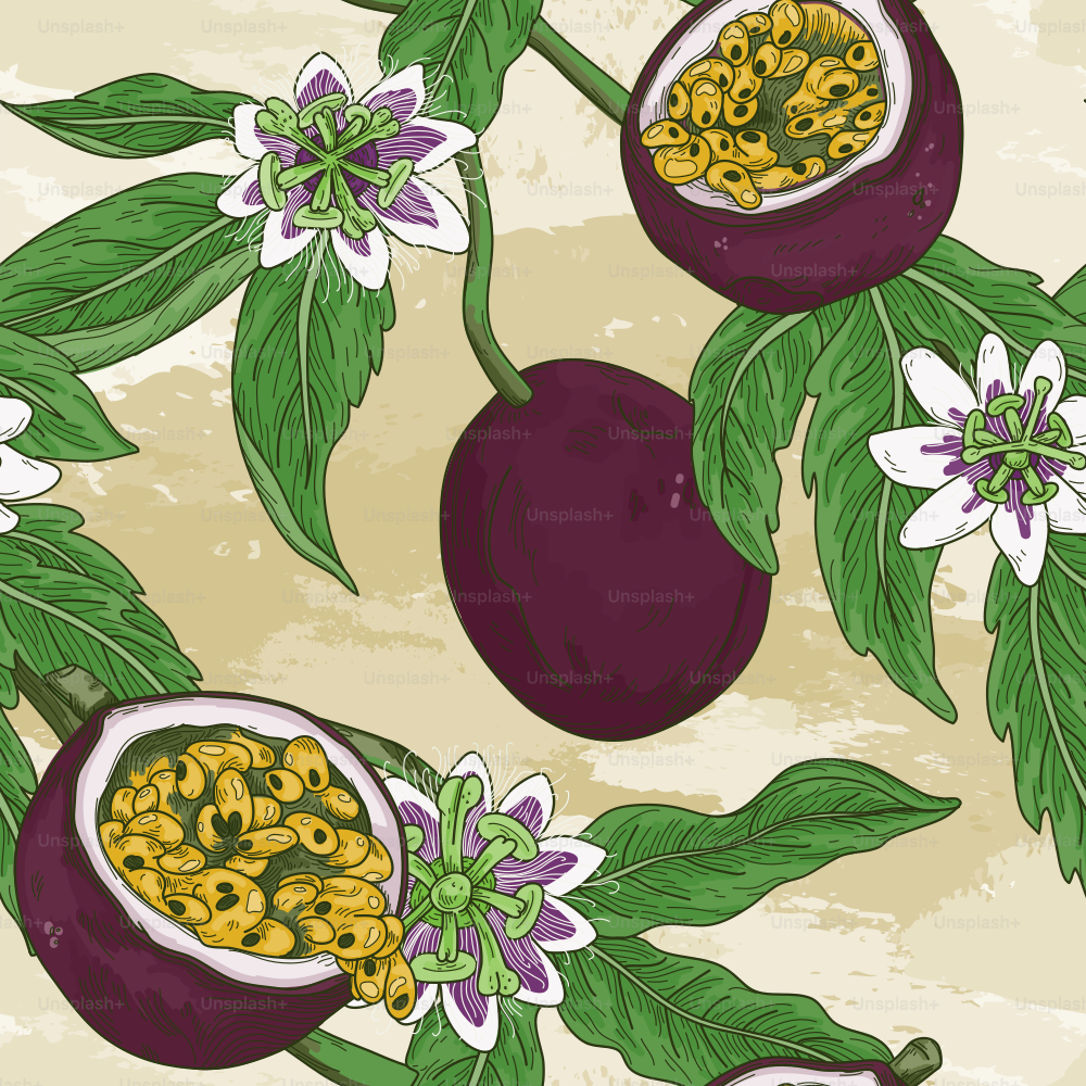 Gorgeous highly detailed line art vintage style seamless passion fruit pattern with leaves and blossoms. Perfect for fabric, wallpaper or anything that needs a summery flair.