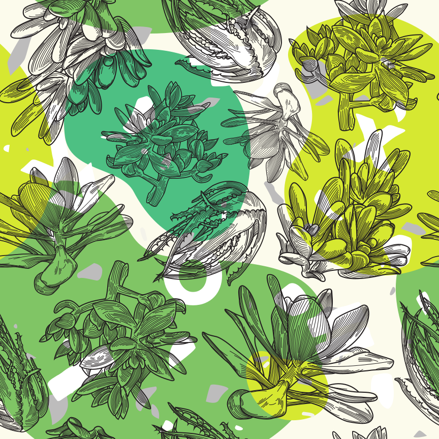 Fun and bright seamless succulent plant patterns with vibrant amorphous blob shapes in the background