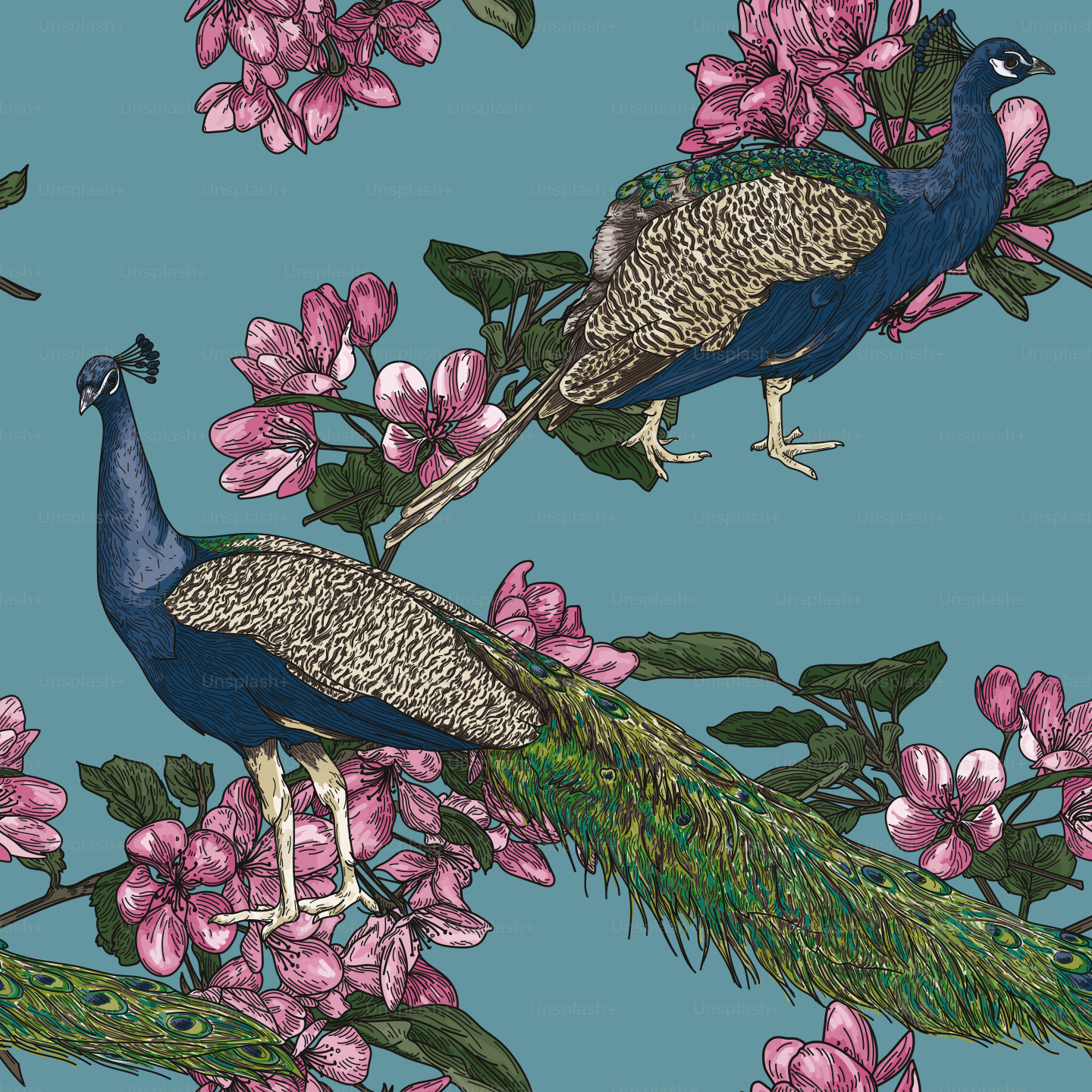 Detailed line art of peacocks and crabapple tree blossoms adorn this seamless pattern in a vintage style. Global colours, easy to change.