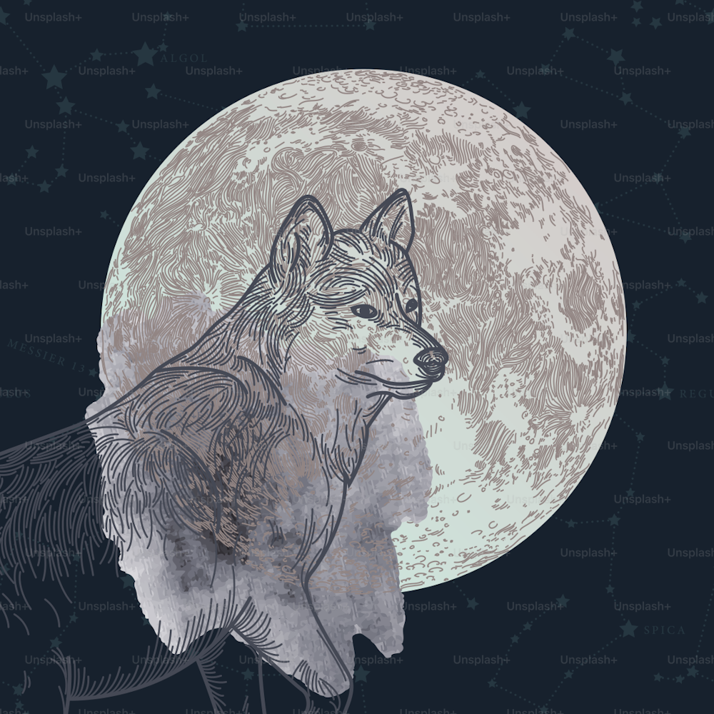 A detailed line art illustration of the lunar month of January with wolf moon on a constellation background.