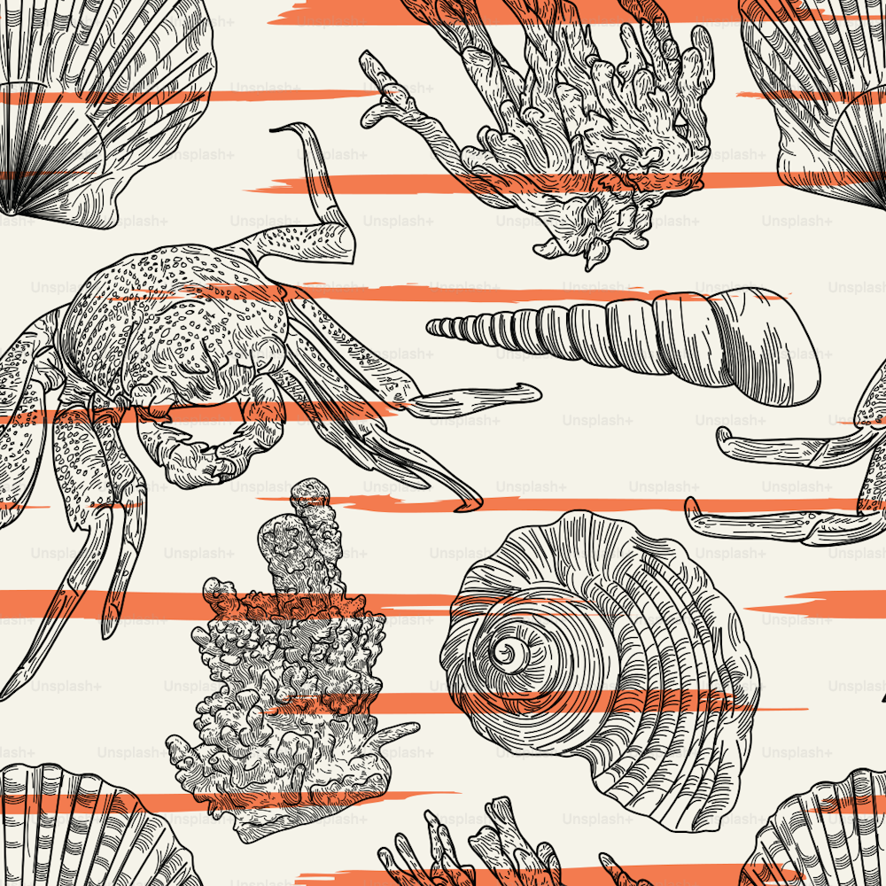 A detailed lineart beachy nautical pattern featuring a lightly striped background and artwork of a crab, shells, and coral.