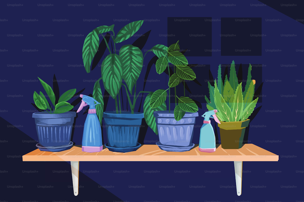 Illustration of Plants in greenhouse at night