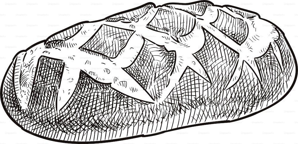 Illustration à l’ancienne d’une miche de pain rustique