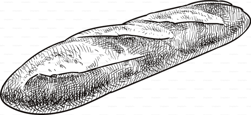 Old style illustration of a baguette