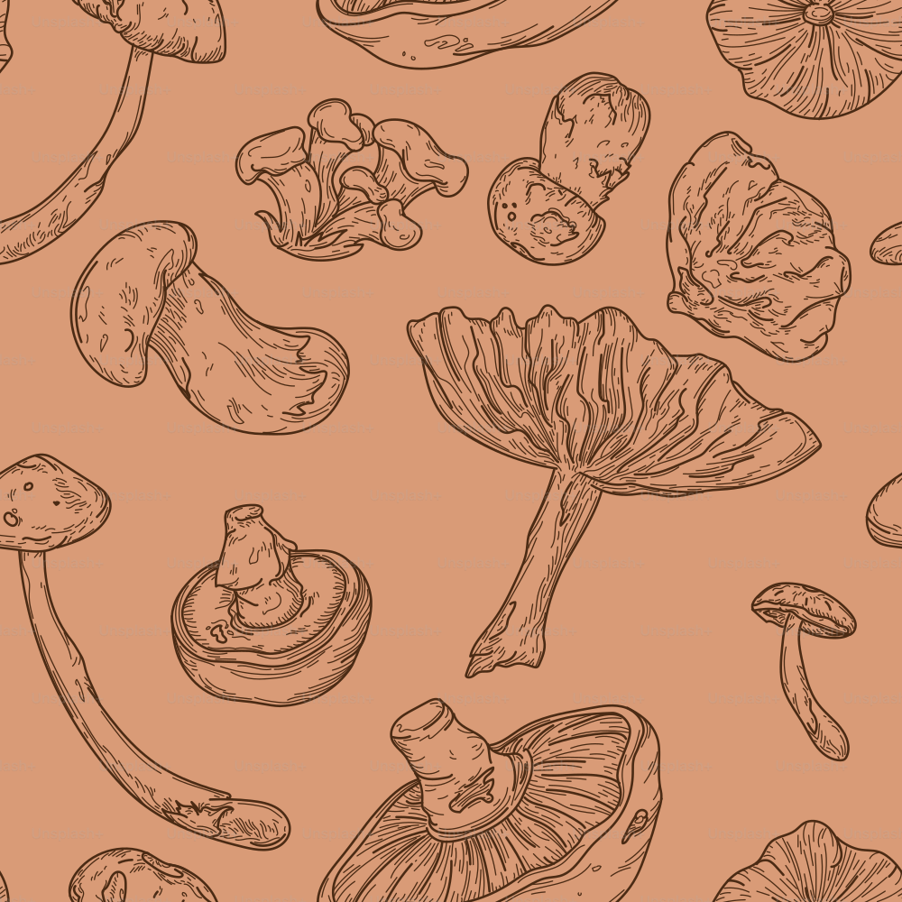 Detailed line artwork of different types of forest mushrooms form this seamless pattern. Global colours, easy to change