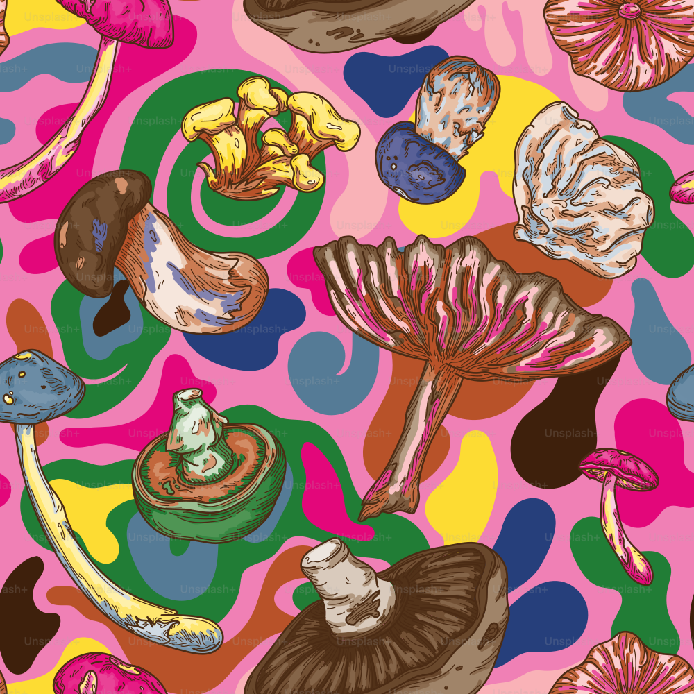 Psychedelic coloured forest mushrooms in line artwork on a trippy, swirled background.