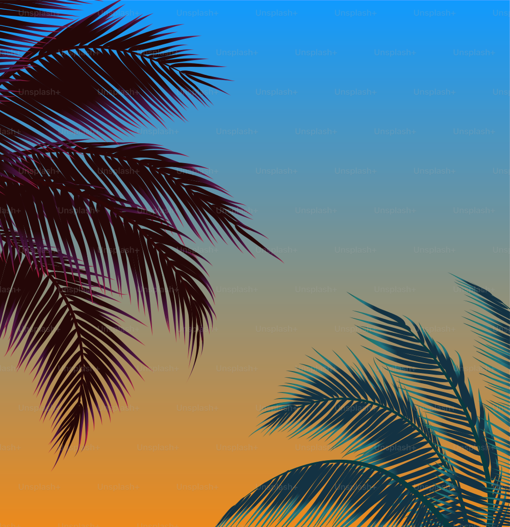 Sky with palm trees, blue yellow sky and palm leaf background. Vector illustration.