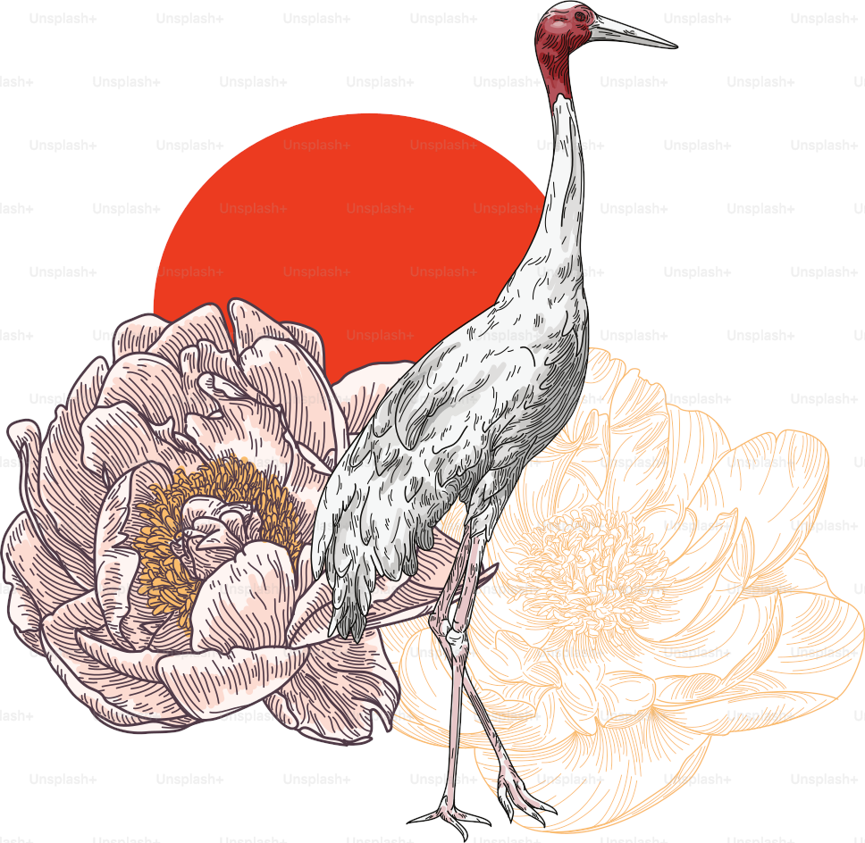 Line artwork of peonies and a tall sarus crane standing in front of a sun.