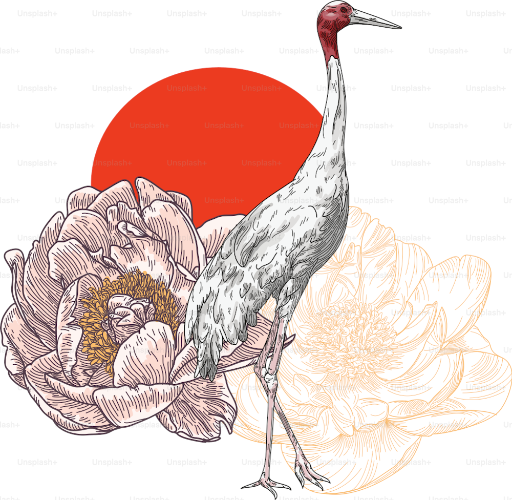 Line artwork of peonies and a tall sarus crane standing in front of a sun.