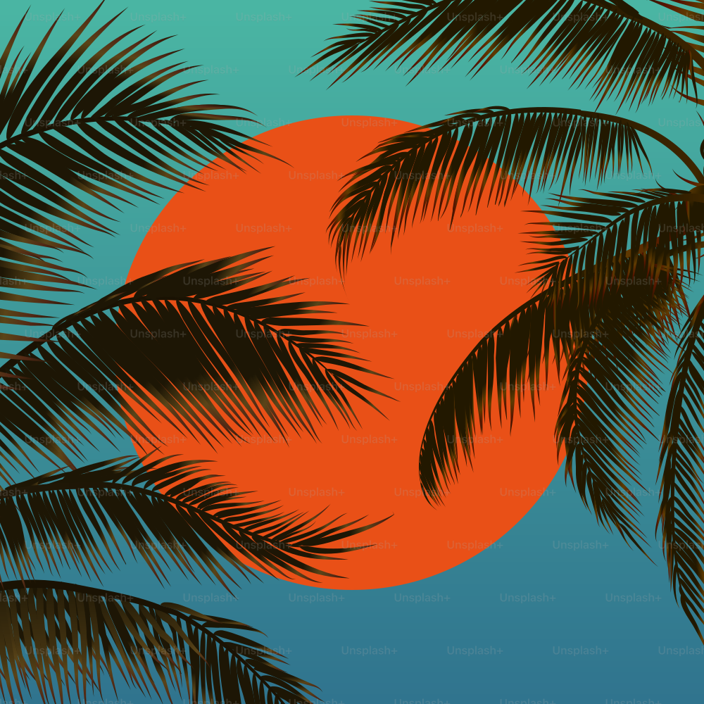 Sunset with palm trees, orange sun and palm leaf background. Vector illustration.