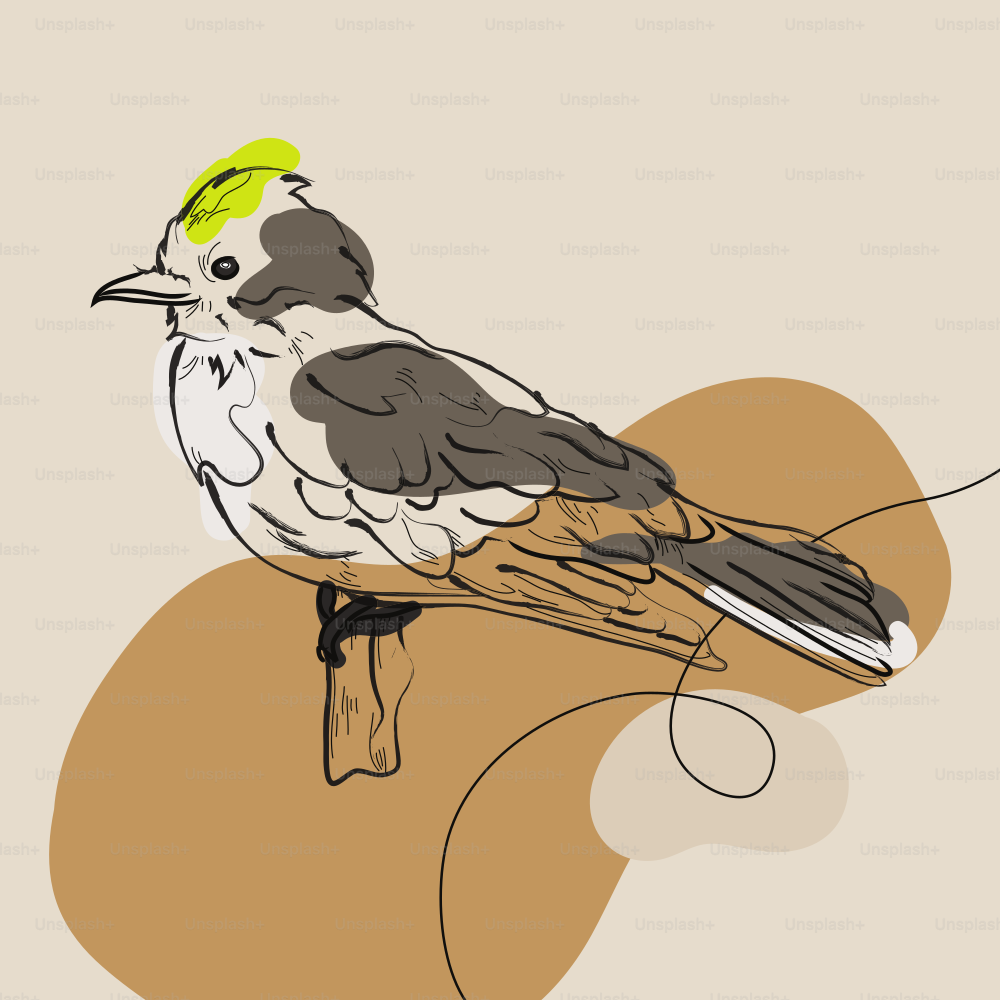 A simplified ink style sketch of an eastern kingbird as seen in profile view. Minimalism and neutrals.