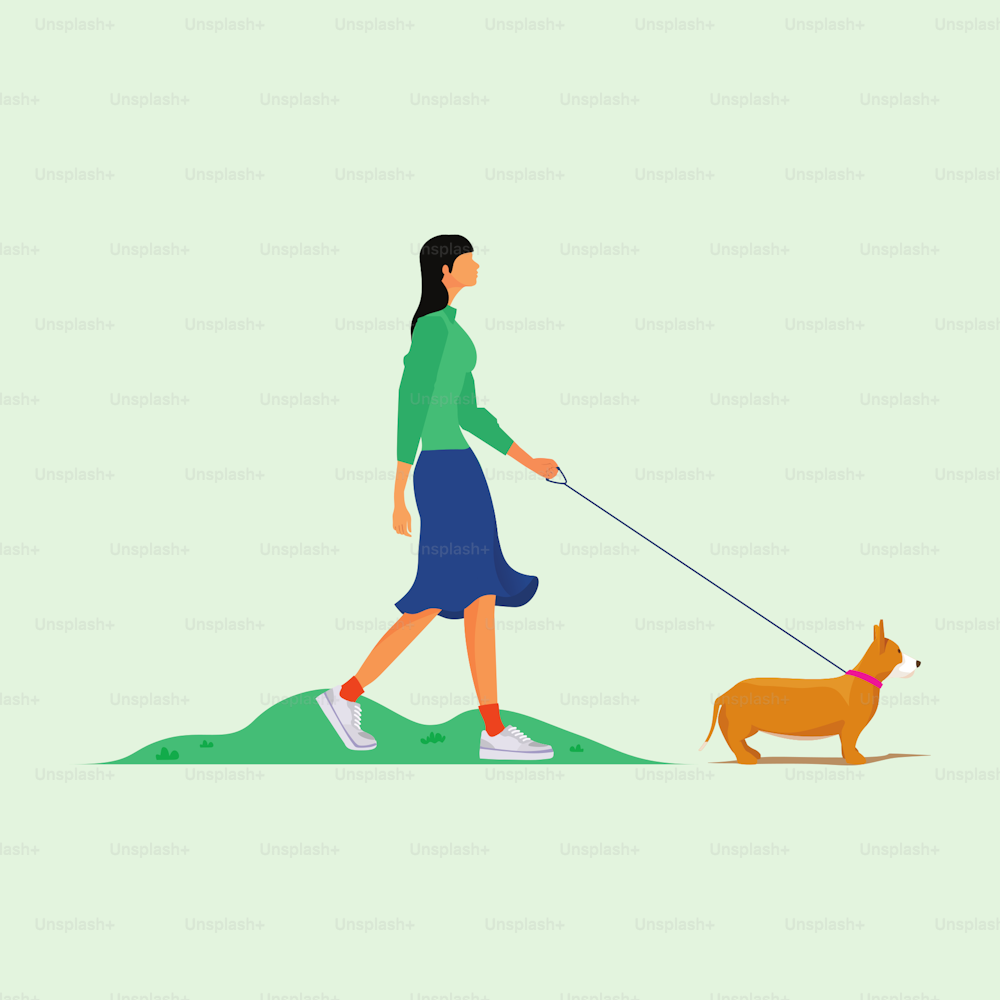 Ragazza che cammina con il cane nel parco Illustrazione vettoriale in stile cartone animato isolata su sfondo pulito..