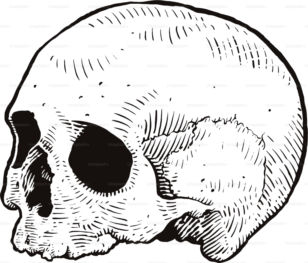 Simple, woodcut like illustration of a human skull