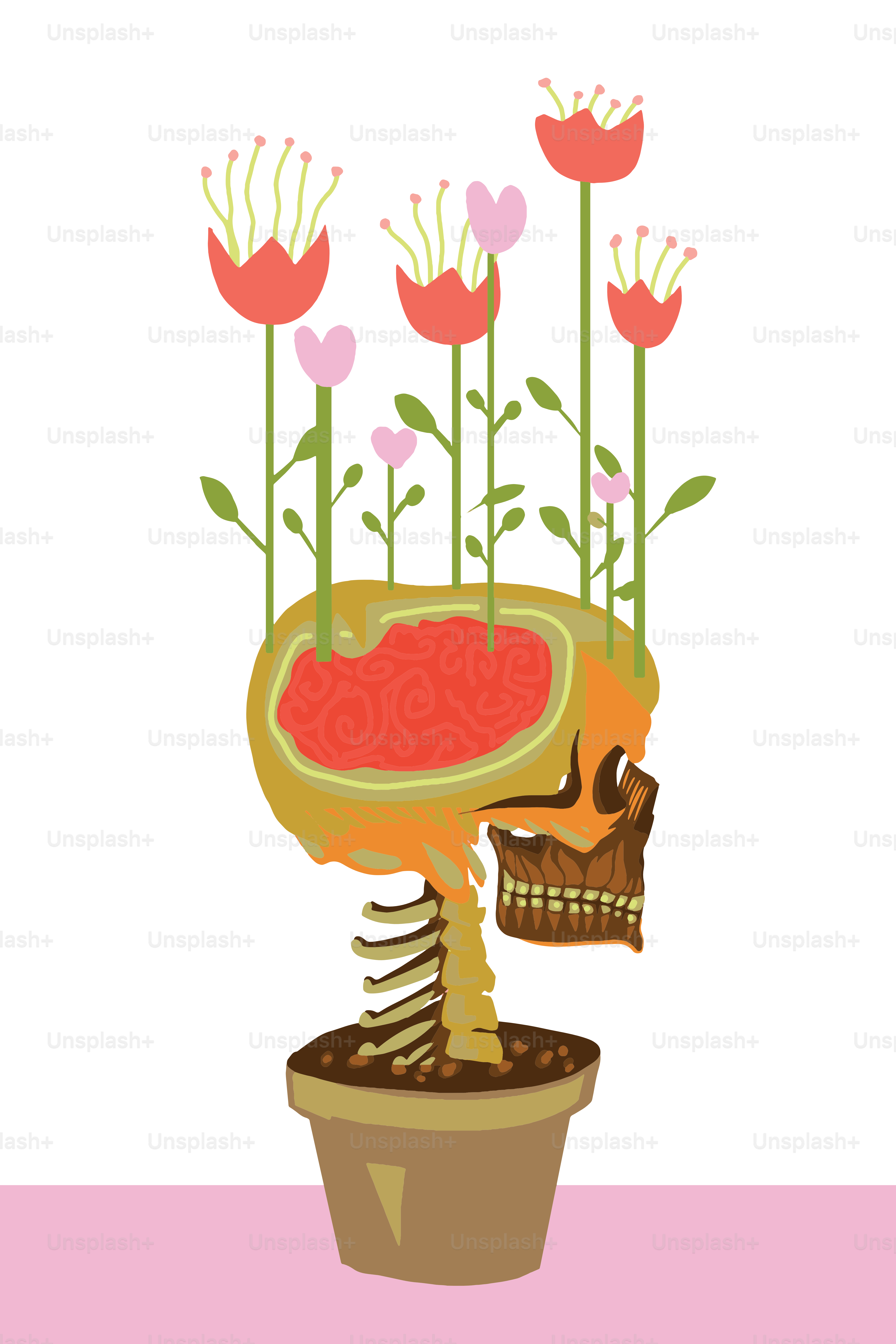 Teschio umano con fiori rosa e rossi