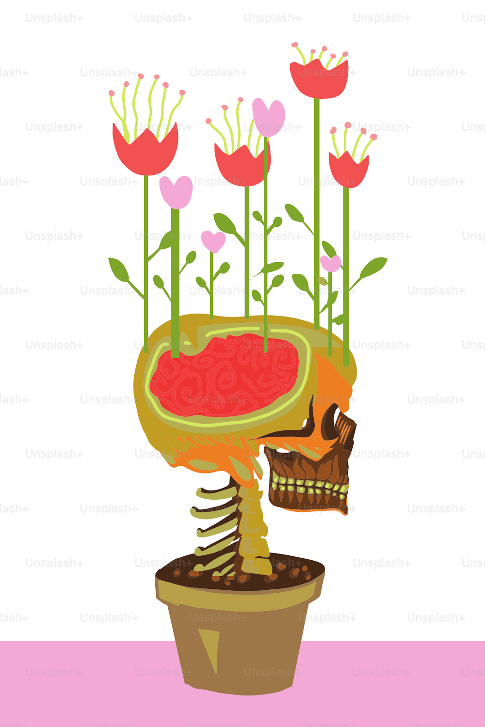 분홍색과 빨간색 꽃이 있는 인간의 두개골